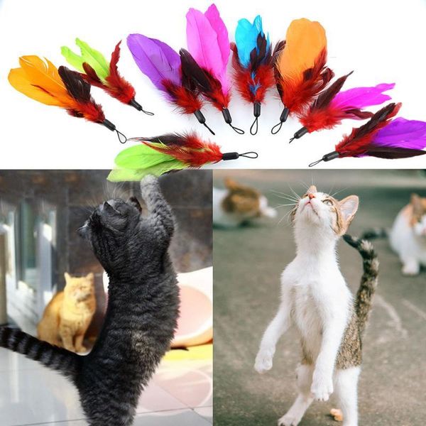 cat toys 9pcs stick feather interactive toy colorful and creative pet accessories funny training supplies